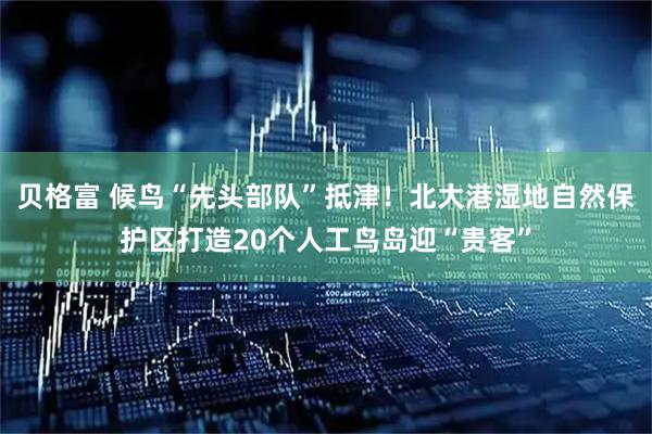 贝格富 候鸟“先头部队”抵津！北大港湿地自然保护区打造20个人工鸟岛迎“贵客”