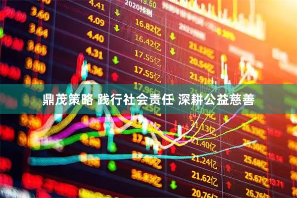 鼎茂策略 践行社会责任 深耕公益慈善