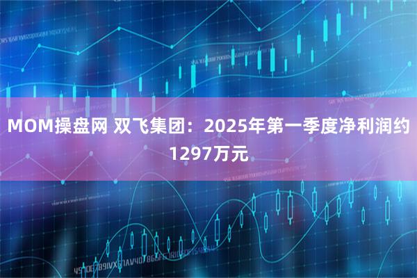 MOM操盘网 双飞集团：2025年第一季度净利润约1297万元