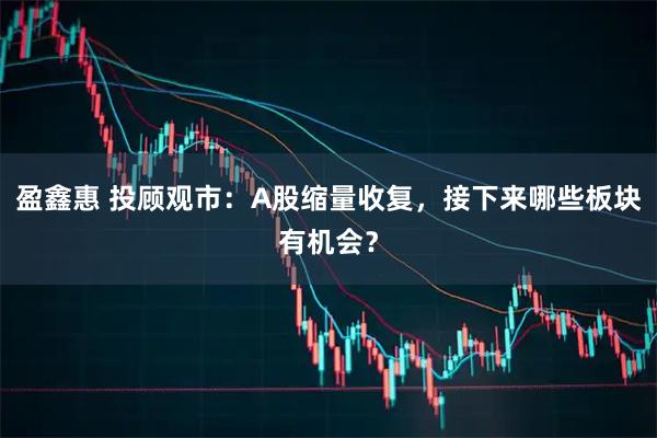 盈鑫惠 投顾观市：A股缩量收复，接下来哪些板块有机会？