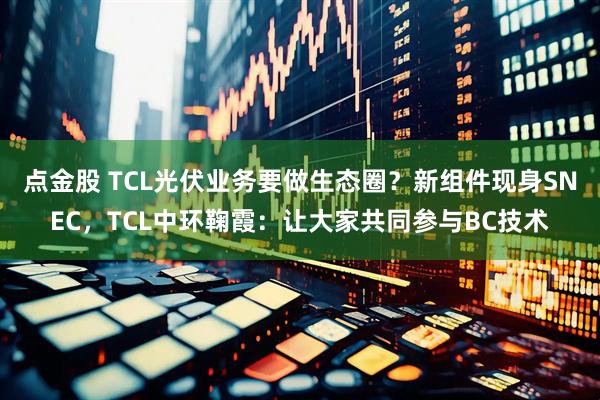点金股 TCL光伏业务要做生态圈？新组件现身SNEC，TCL中环鞠霞：让大家共同参与BC技术