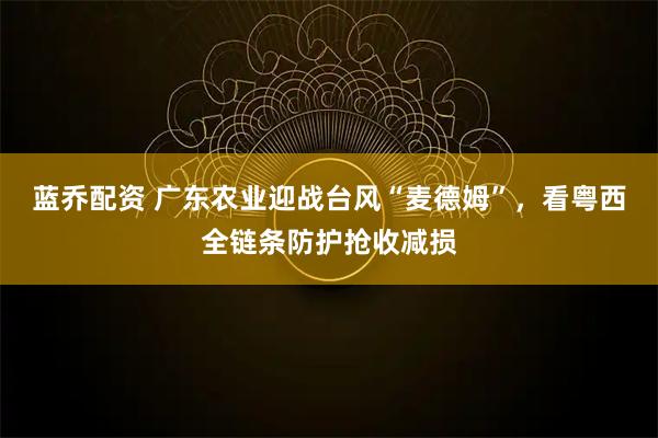 蓝乔配资 广东农业迎战台风“麦德姆”，看粤西全链条防护抢收减损