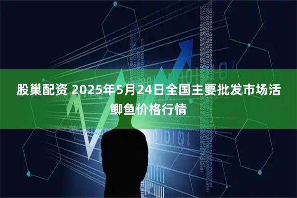 股巢配资 2025年5月24日全国主要批发市场活鲫鱼价格行情