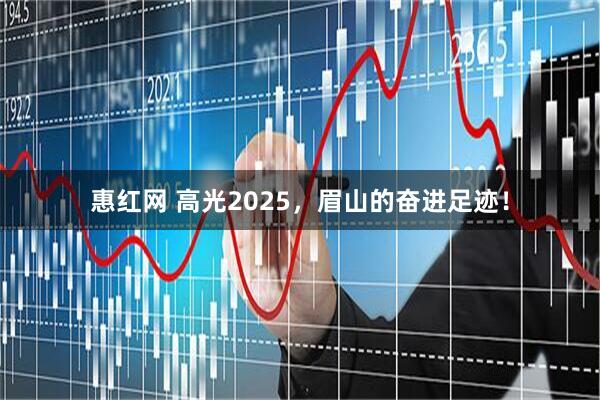 惠红网 高光2025，眉山的奋进足迹！