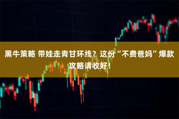 黑牛策略 带娃走青甘环线？这份“不费爸妈”爆款攻略请收好！