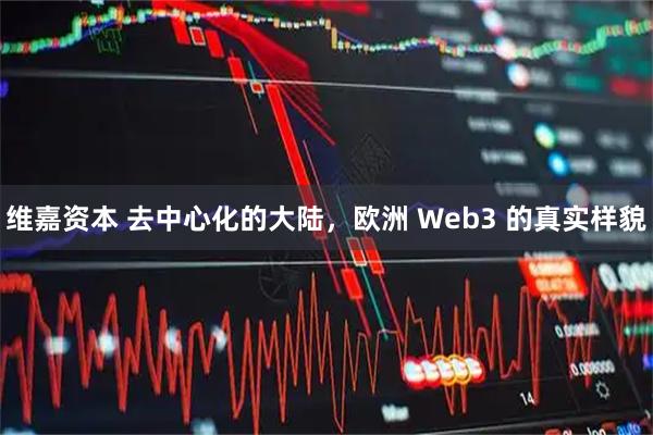 维嘉资本 去中心化的大陆，欧洲 Web3 的真实样貌